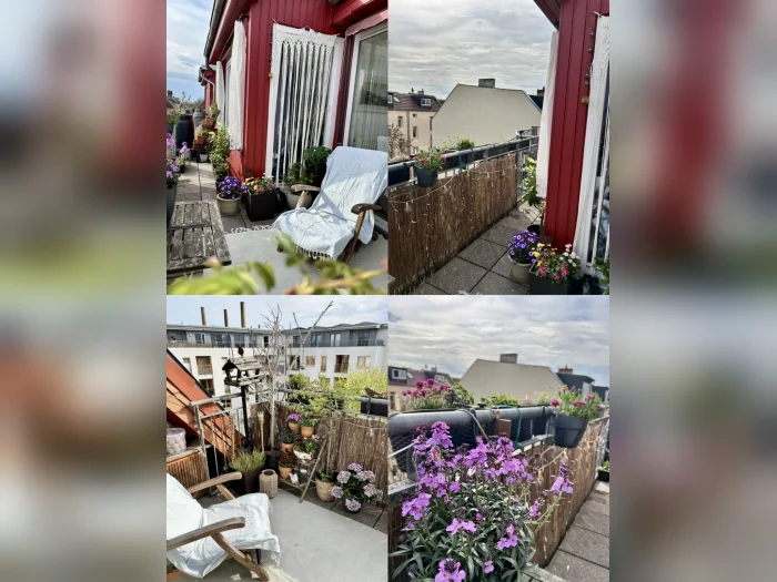 Vorschaubild 2