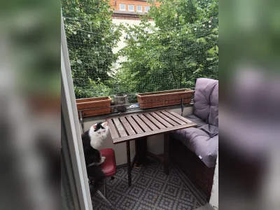 Vorschaubild 5