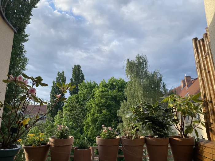 Vorschaubild 5