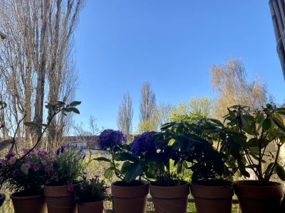 Wohnung Sonnenschein