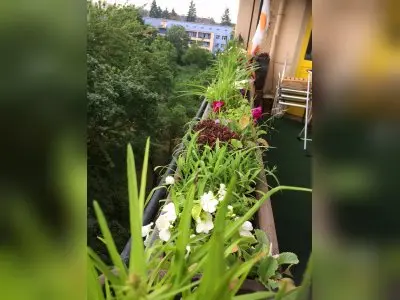 Vorschaubild 3
