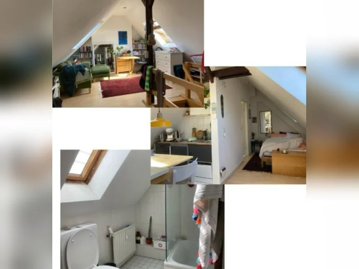 Vorschaubild 5