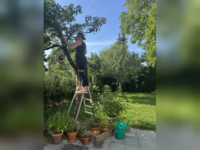 Vorschaubild 18