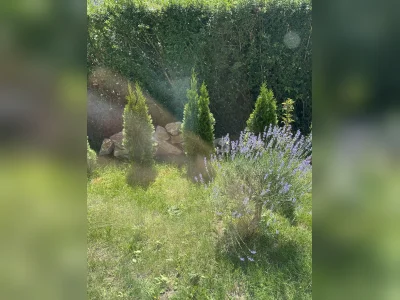 Vorschaubild 21
