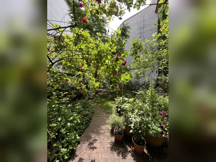 Vorschaubild 12
