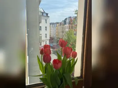 Vorschaubild 2