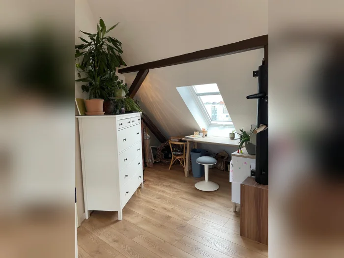 Vorschaubild 4