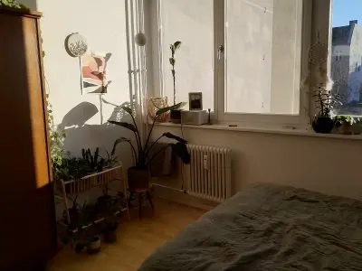 Vorschaubild 2