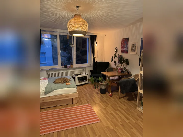 Vorschaubild 1