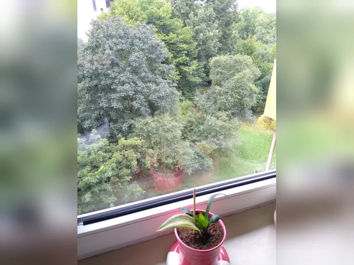 Vorschaubild 10