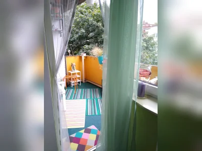 Vorschaubild 9