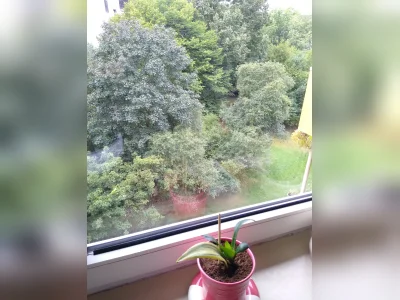 Vorschaubild 10