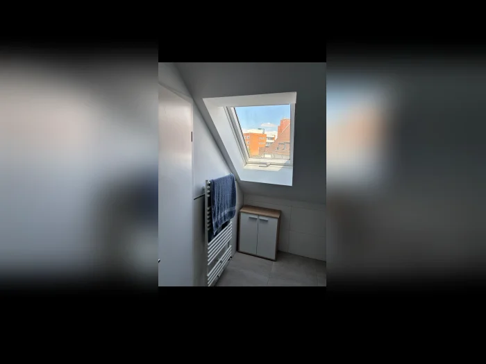 Vorschaubild 11