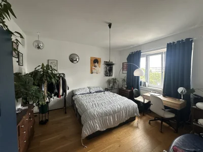 Vorschaubild 1