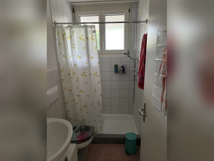 Vorschaubild 5