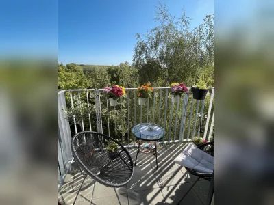 Vorschaubild 1
