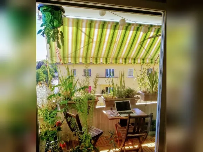 Vorschaubild 1