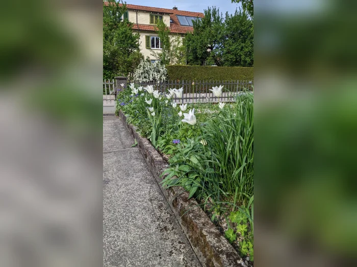 Vorschaubild 11