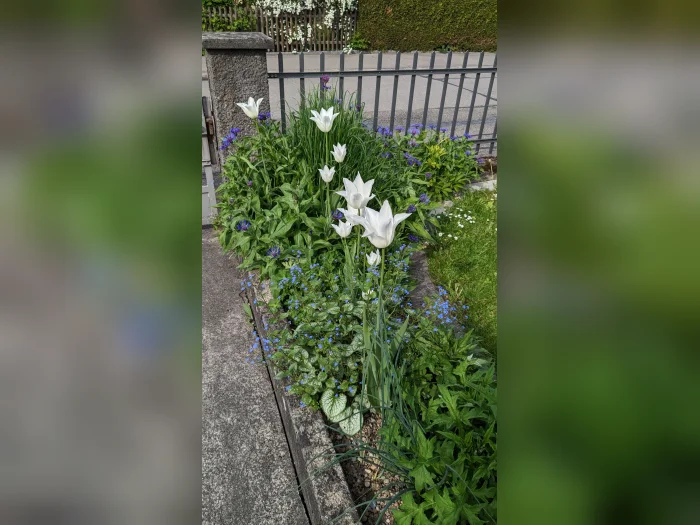 Vorschaubild 10