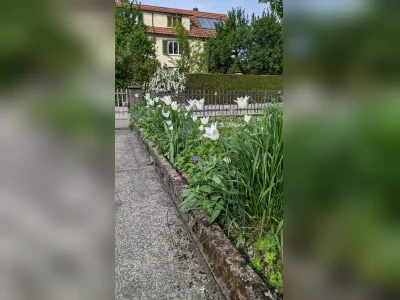 Vorschaubild 11