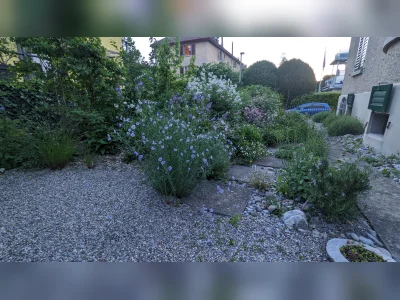 Vorschaubild 8