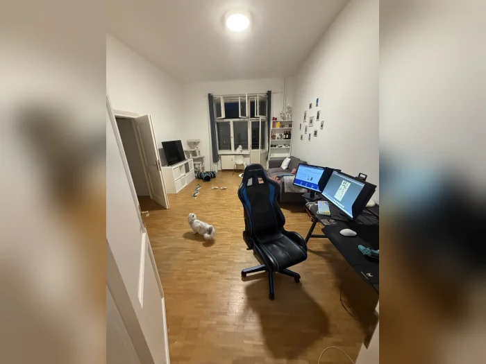 Vorschaubild 1