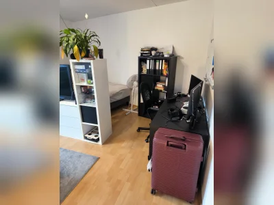 Vorschaubild 3