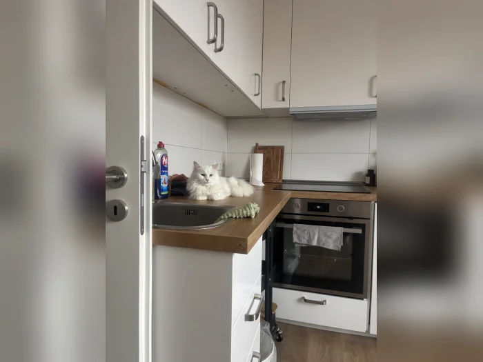 Vorschaubild 3