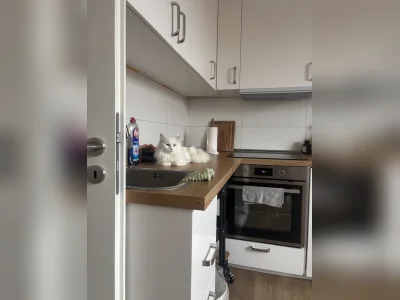 Vorschaubild 3