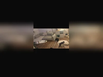 Vorschaubild 6