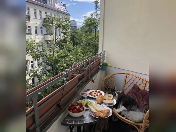 Vorschaubild 4
