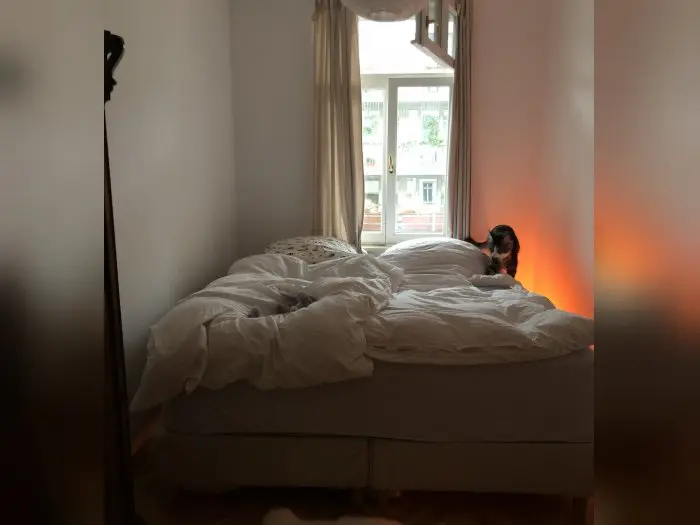 Vorschaubild 3