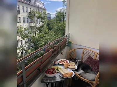 Vorschaubild 4