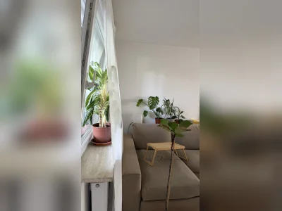 Vorschaubild 19
