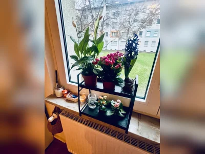 Vorschaubild 3