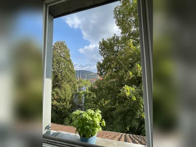 Vorschaubild 9