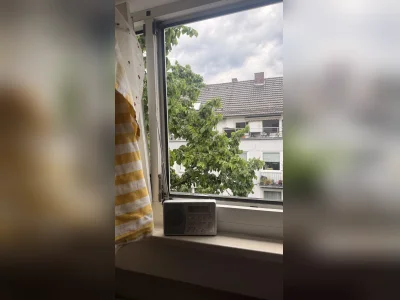 Vorschaubild 5