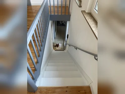 Vorschaubild 7