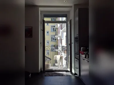 Vorschaubild 6