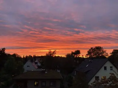 Vorschaubild 7