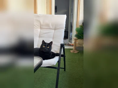 Vorschaubild 4