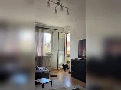 Vorschaubild 2