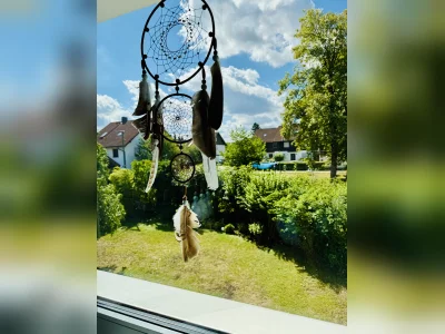 Vorschaubild 8