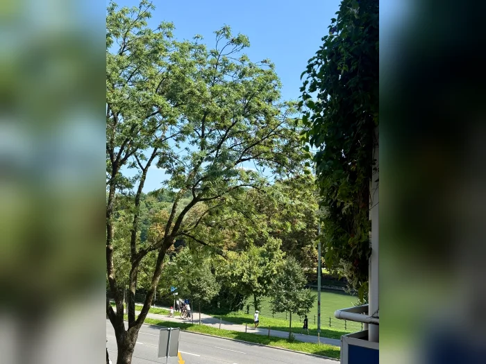Vorschaubild 2