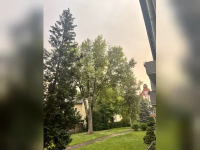 Vorschaubild 9