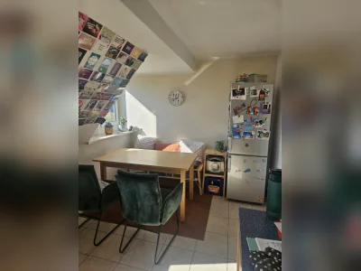 Vorschaubild 11