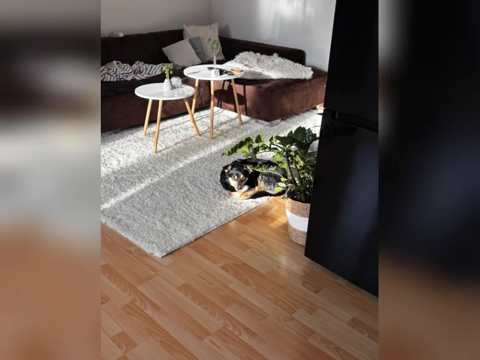 Vorschaubild 2