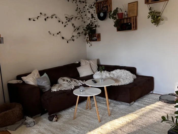 Vorschaubild 1