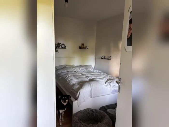 Vorschaubild 10
