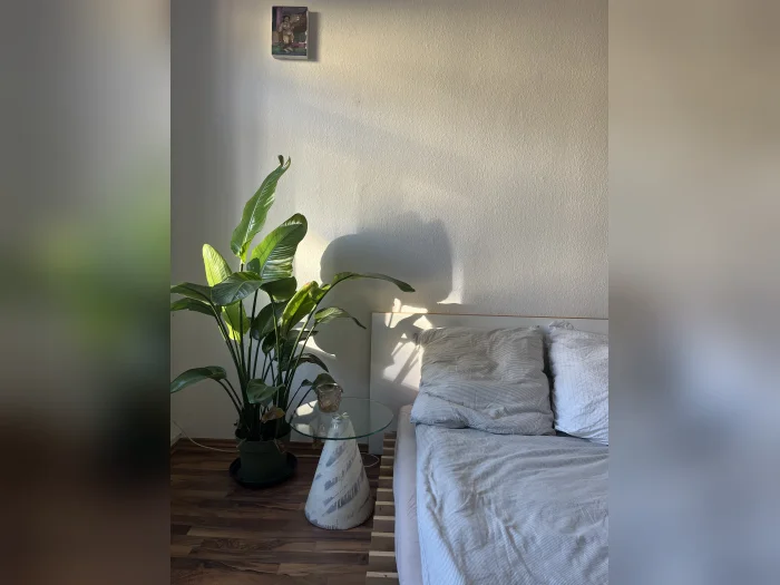 Vorschaubild 1